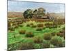 Farm Cumbria, 2008-Trevor Neal-Mounted Giclee Print