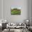 Farm Cumbria, 2008-Trevor Neal-Giclee Print displayed on a wall