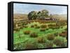 Farm Cumbria, 2008-Trevor Neal-Framed Stretched Canvas