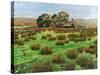 Farm Cumbria, 2008-Trevor Neal-Stretched Canvas