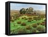 Farm Cumbria, 2008-Trevor Neal-Framed Stretched Canvas