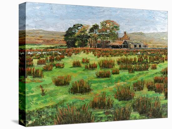 Farm Cumbria, 2008-Trevor Neal-Stretched Canvas