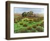 Farm Cumbria, 2008-Trevor Neal-Framed Giclee Print