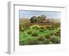 Farm Cumbria, 2008-Trevor Neal-Framed Giclee Print