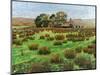 Farm Cumbria, 2008-Trevor Neal-Mounted Giclee Print