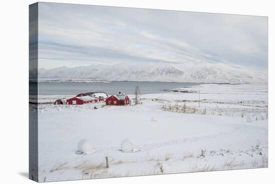 Farm, Dalvik Area, Eyjafjšrdur, North Iceland-Julia Wellner-Stretched Canvas