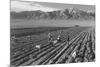 Farm, Farm Workers, Mt. Williamson in Background-Ansel Adams-Mounted Premium Giclee Print