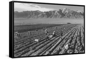 Farm, Farm Workers, Mt. Williamson in Background-Ansel Adams-Framed Stretched Canvas