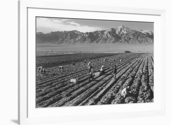 Farm, Farm Workers, Mt. Williamson in Background-Ansel Adams-Framed Art Print