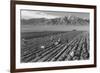 Farm, Farm Workers, Mt. Williamson in Background-Ansel Adams-Framed Art Print