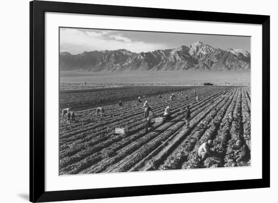 Farm, Farm Workers, Mt. Williamson in Background-Ansel Adams-Framed Art Print