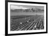 Farm, Farm Workers, Mt. Williamson in Background-Ansel Adams-Framed Art Print