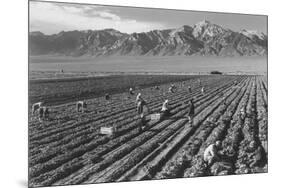 Farm, Farm Workers, Mt. Williamson in Background-Ansel Adams-Mounted Art Print