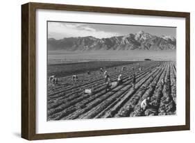 Farm, Farm Workers, Mt. Williamson in Background-Ansel Adams-Framed Art Print