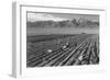 Farm, Farm Workers, Mt. Williamson in Background-Ansel Adams-Framed Art Print