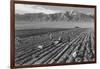 Farm, Farm Workers, Mt. Williamson in Background-Ansel Adams-Framed Art Print