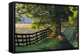 Farm Fence at Sunrise, Oldham County, Kentucky-Adam Jones-Framed Stretched Canvas