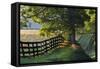 Farm Fence at Sunrise, Oldham County, Kentucky-Adam Jones-Framed Stretched Canvas