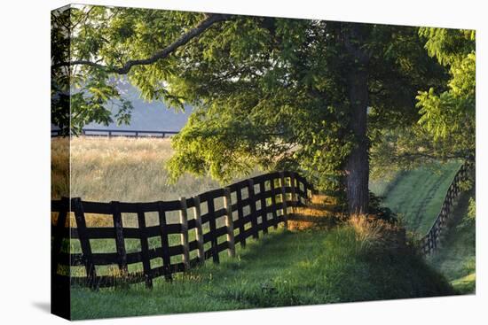 Farm Fence at Sunrise, Oldham County, Kentucky-Adam Jones-Stretched Canvas