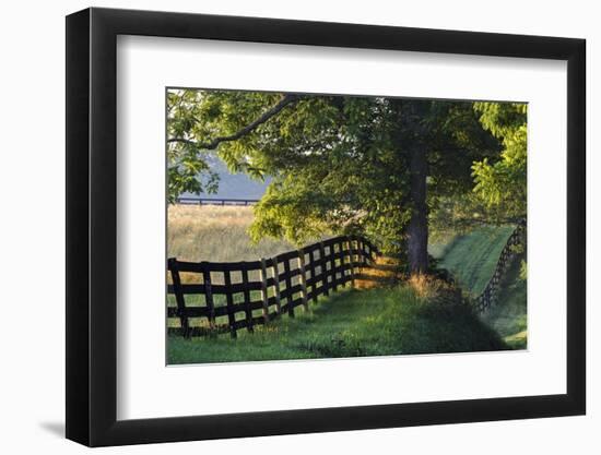 Farm Fence at Sunrise, Oldham County, Kentucky-Adam Jones-Framed Photographic Print