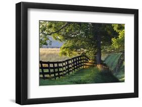 Farm Fence at Sunrise, Oldham County, Kentucky-Adam Jones-Framed Photographic Print