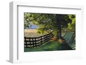 Farm Fence at Sunrise, Oldham County, Kentucky-Adam Jones-Framed Photographic Print