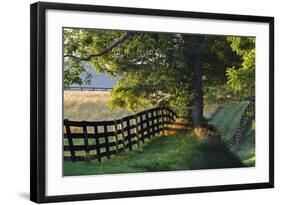 Farm Fence at Sunrise, Oldham County, Kentucky-Adam Jones-Framed Photographic Print