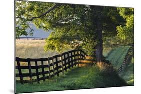 Farm Fence at Sunrise, Oldham County, Kentucky-Adam Jones-Mounted Photographic Print