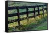 Farm fence at sunrise, Oldham County, Kentucky-Adam Jones-Framed Stretched Canvas