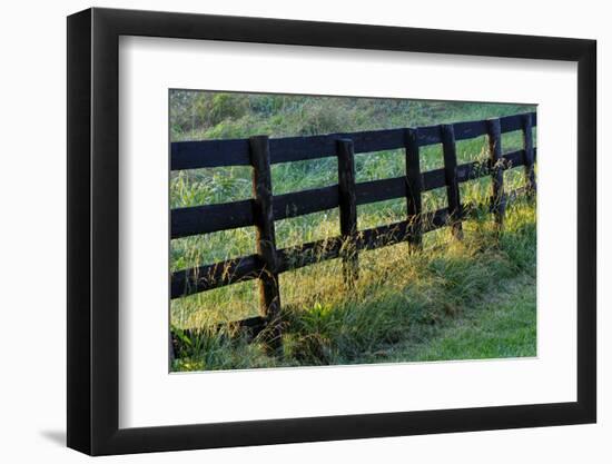 Farm fence at sunrise, Oldham County, Kentucky-Adam Jones-Framed Photographic Print