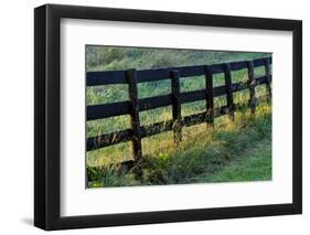 Farm fence at sunrise, Oldham County, Kentucky-Adam Jones-Framed Photographic Print