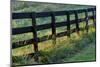 Farm fence at sunrise, Oldham County, Kentucky-Adam Jones-Mounted Photographic Print