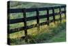 Farm fence at sunrise, Oldham County, Kentucky-Adam Jones-Stretched Canvas