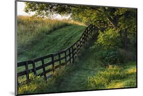 Farm fence at sunrise, Oldham County, Kentucky-Adam Jones-Mounted Photographic Print