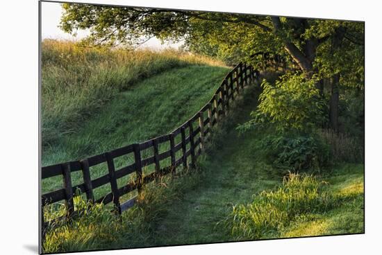 Farm fence at sunrise, Oldham County, Kentucky-Adam Jones-Mounted Premium Photographic Print