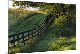 Farm fence at sunrise, Oldham County, Kentucky-Adam Jones-Mounted Premium Photographic Print
