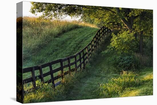 Farm fence at sunrise, Oldham County, Kentucky-Adam Jones-Stretched Canvas