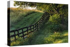 Farm fence at sunrise, Oldham County, Kentucky-Adam Jones-Stretched Canvas