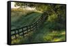 Farm fence at sunrise, Oldham County, Kentucky-Adam Jones-Framed Stretched Canvas