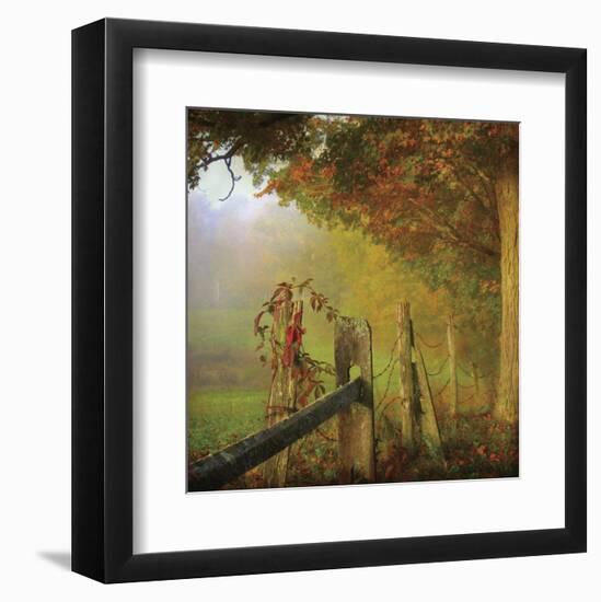 Farm Fence-Dawne Polis-Framed Art Print