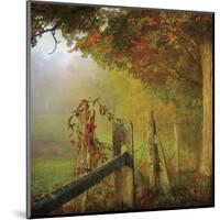 Farm Fence-Dawne Polis-Mounted Art Print