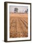 Farm Field Fog-Steve Gadomski-Framed Photographic Print