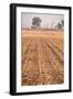 Farm Field Fog-Steve Gadomski-Framed Photographic Print