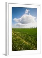 Farm Field in Springtime, Bergen, Lower Saxony, Germany-null-Framed Photographic Print