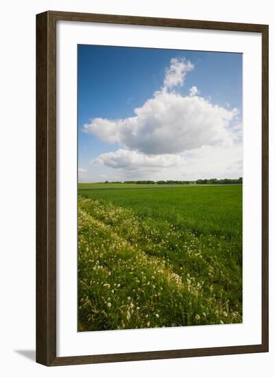 Farm Field in Springtime, Bergen, Lower Saxony, Germany-null-Framed Photographic Print