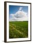 Farm Field in Springtime, Bergen, Lower Saxony, Germany-null-Framed Photographic Print