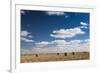 Farm Field, Sioux Falls, South Dakota, USA-Walter Bibikow-Framed Photographic Print