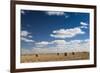 Farm Field, Sioux Falls, South Dakota, USA-Walter Bibikow-Framed Photographic Print