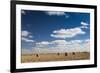 Farm Field, Sioux Falls, South Dakota, USA-Walter Bibikow-Framed Photographic Print