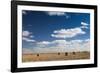 Farm Field, Sioux Falls, South Dakota, USA-Walter Bibikow-Framed Photographic Print